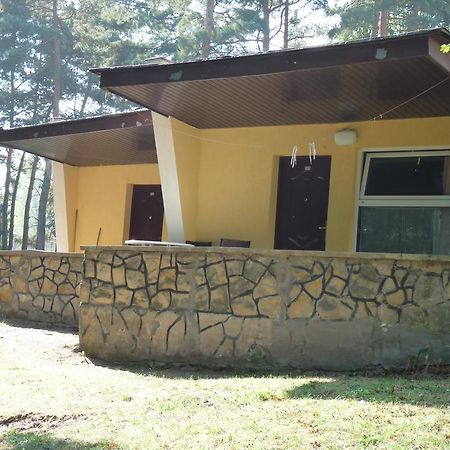 Osrodek Wypoczynkowy Jelonek Hotel Wolsztyn Exterior foto